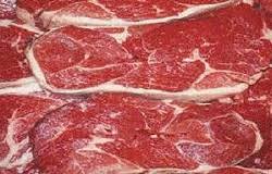 قیمت خرید گوشت شتر در کردستان