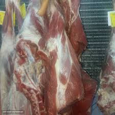 خرید گوشت شتر
