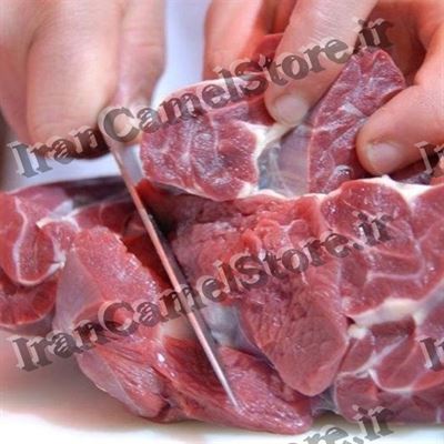 خرید عمده گوشت شتر به صورت اینترنتی با بهترین قیمت
